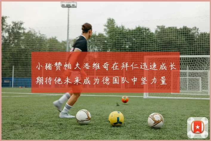 小猪赞帕夫洛维奇在拜仁迅速成长期待他未来成为德国队中坚力量